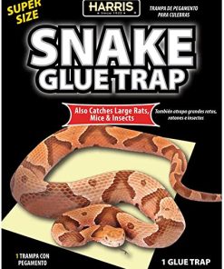 Snake Glue Trap - Trampa De Goma Para Víbora